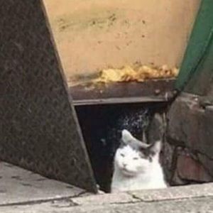 Meet your Posher, Sera